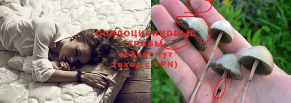 кокаин перу Каменка