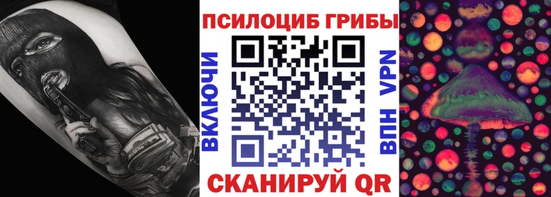 Купить где  Зима  Псилоцибиновые грибы Cubensis 